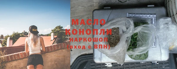 шишки Магас
