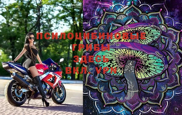MESCALINE Медногорск