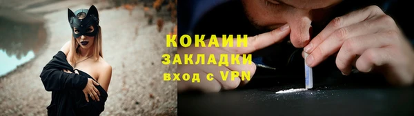шишки Магас