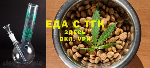 шишки Магас