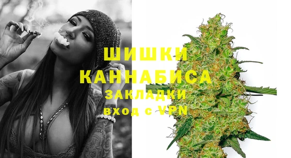 шишки Магас