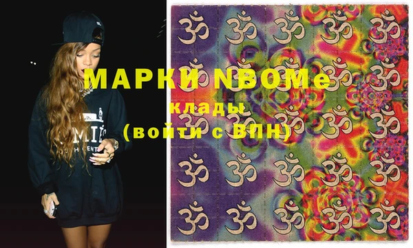 шишки Магас