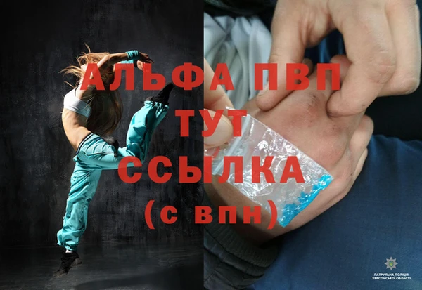 шишки Мегион