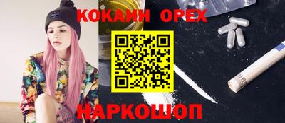 гидропоника Бийск