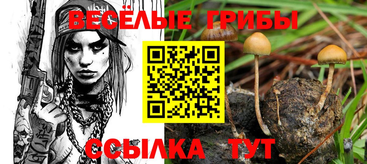 Галлюциногенные грибы ЛСД  Вход с VPN  Псилоцибиновые грибы ЛСД  Кунгур 