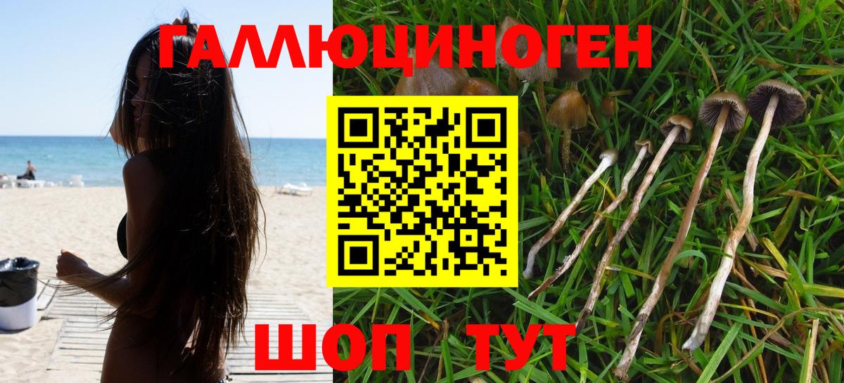 Псилоцибиновые грибы GOLDEN TEACHER Кунгур