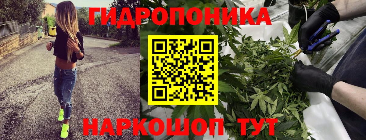 Бошки марихуана Ganja  Вход с VPN  Кунгур  Каннабис марихуана 
